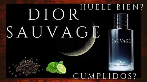 a que huele sauvage dior|sauvage dior colonia.